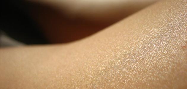 صورة أهمية الجلد