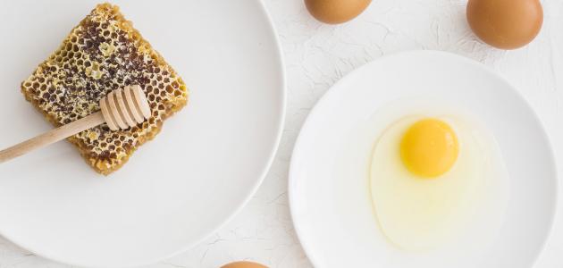 صورة ماسك صفار البيض والعسل للوجه