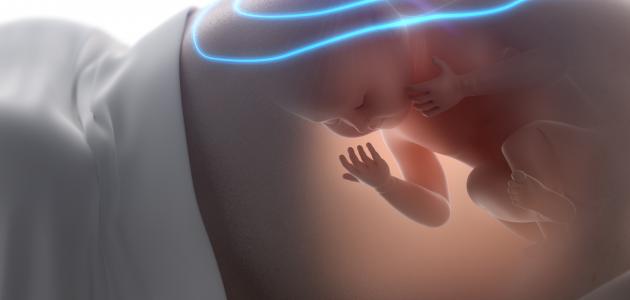 صورة متى يتحرك الجنين في بطن أمه