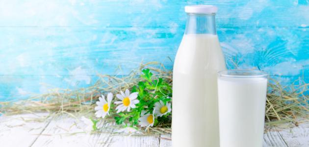 صورة جديد ما هي أنواع الحليب غير البقري