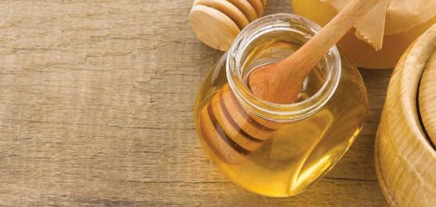 صورة جديد ما فوائد العسل للشعر