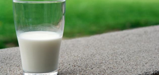 صورة جديد فوائد الحليب للعظام