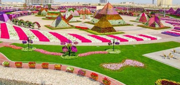 صورة جديد حديقة الزهور في دبي