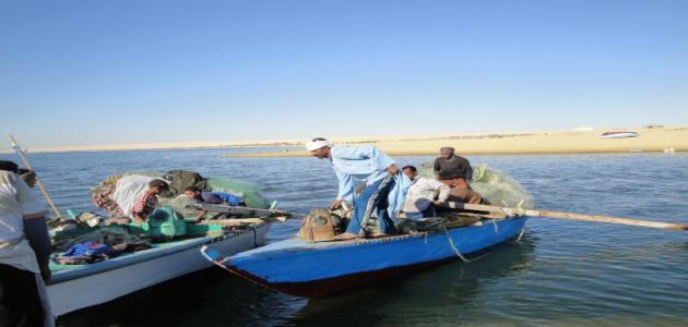 صورة جديد بحيرة مريوط