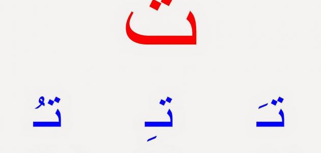 603c59f389103 جديد التشكيل في اللغة العربية