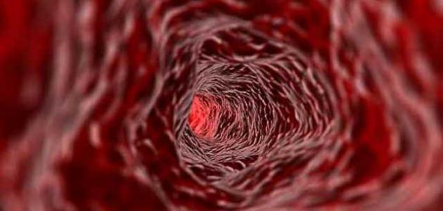 صورة جديد عدد كريات الدم الحمراء في جسم الإنسان