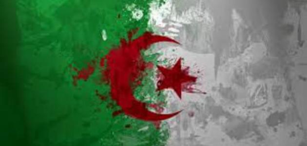 صورة جديد معلومات عامة عن دولة الجزائر