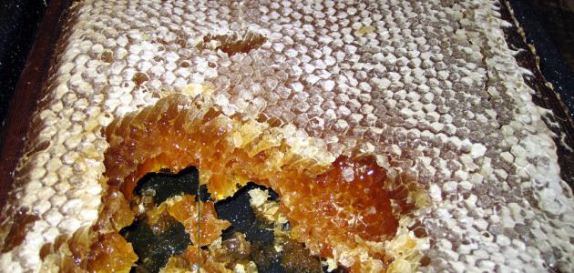 صورة جديد كيفية تمييز العسل الطبيعي