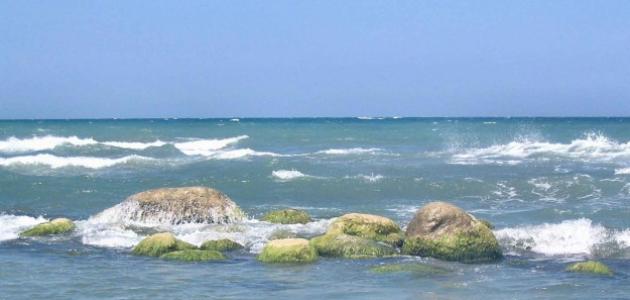 صورة جديد أين بحر قزوين