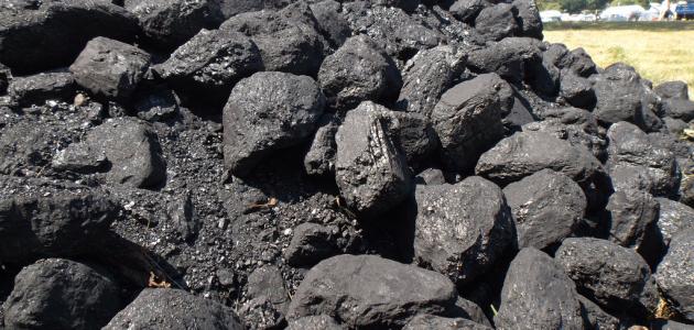 صورة جديد مراحل تكون الفحم الحجري