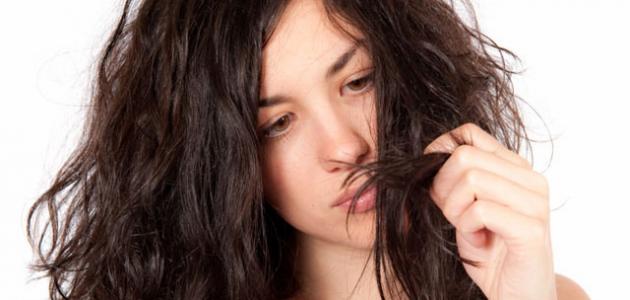 صورة جديد طريقة معالجة الشعر التالف