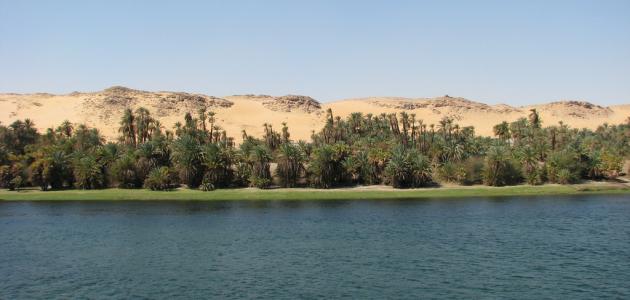 صورة جديد ما هو نهر النيل