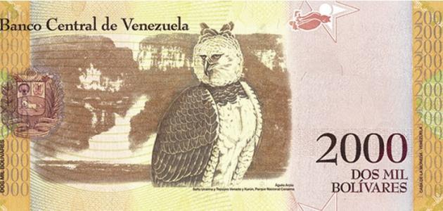 صورة جديد ما العملة المتداولة في فنزويلا