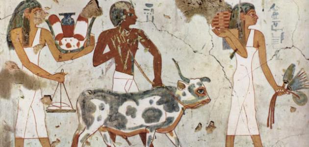 صورة جديد كيف كان يعيش المصريون القدماء