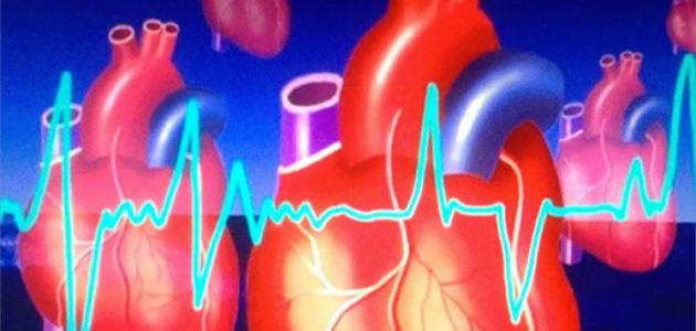 6050fab27c137 جديد حمية الشرق الأوسط و تأثيرها على أمراض القلب و الشرايين