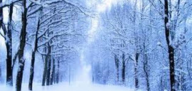 صورة جديد عبارات جميلة عن فصل الشتاء