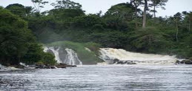 صورة جديد أهم نهر في الكاميرون