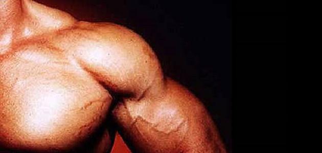 صورة جديد طريقة تقوية العضلات بسرعة