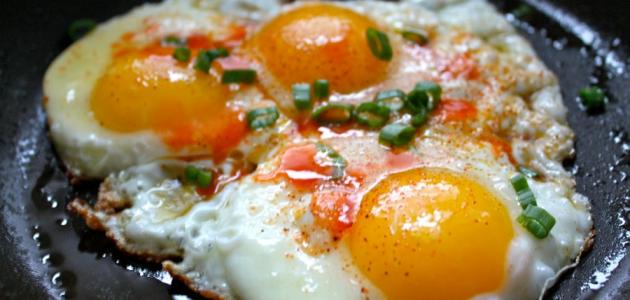صورة جديد طريقة عمل البيض بالبصل والطماطم