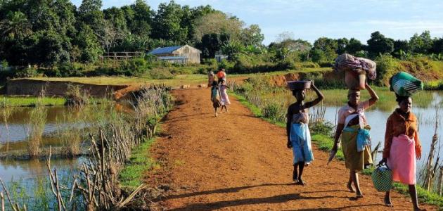 صورة جديد سكان جزيرة مدغشقر