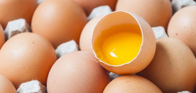 صورة جديد هل هناك فوائد لشرب البيض النيء