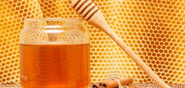صورة جديد فوائد العسل والقرفة للبشرة