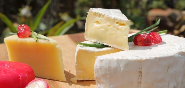 صورة جديد فوائد الجبن وأضراره
