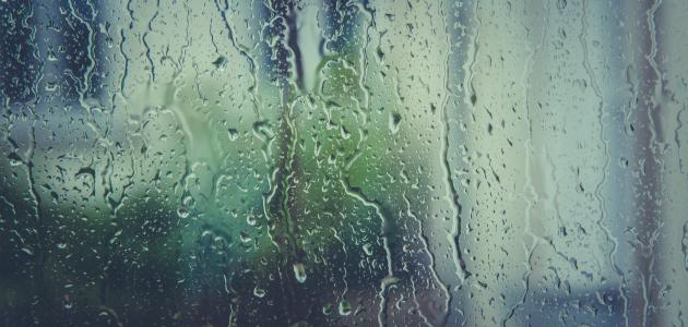 صورة جديد قصيدة عن المطر