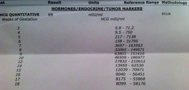 606fd8bfb338d جديد تحليل هرمون الحمل
