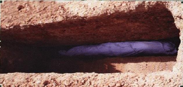 6079b05ab5dbe كيف يتحلل جسم الإنسان في القبر