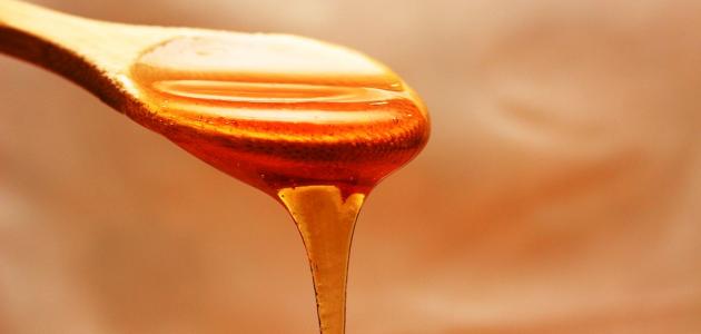 صورة فوائد العسل للشعر الدهني