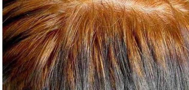 صورة طريقة سحب لون الحناء من الشعر بالزبدة