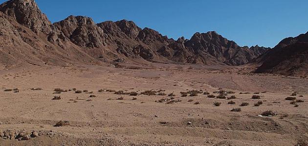صورة أين تقع صحراء سيناء