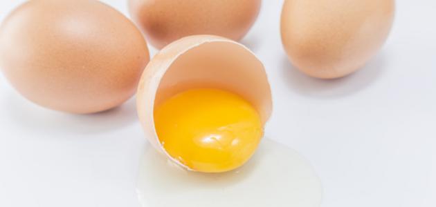 صورة البيض للشعر الجاف
