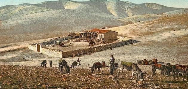 صورة أقدم مدينة سكنها الإنسان في فلسطين