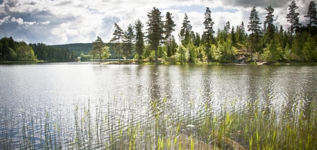 صورة عدد البحيرات في السويد