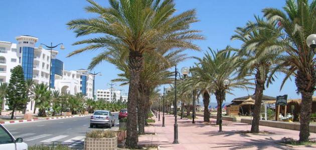 صورة مدينة نابل التونسية