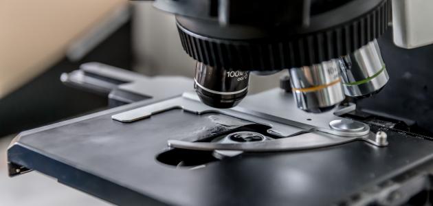 أجزاء المجهر ووظائفها أجزاء المجهر ووظائفها