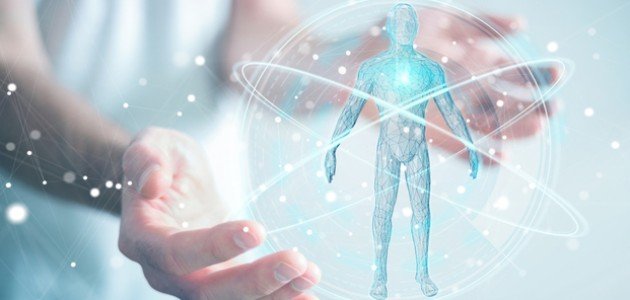 أجزاء جسم الإنسان بالتفصيل أجزاء جسم الإنسان بالتفصيل