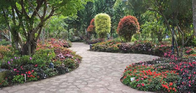 أجمل حدائق العالم أجمل حدائق العالم