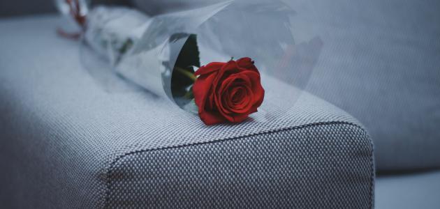 أجمل رسائل عتاب أجمل رسائل عتاب