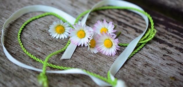 أجمل قصيدة حب في العالم أجمل قصيدة حب في العالم