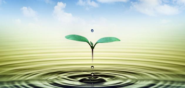 أجمل ما قيل في الحياة أجمل ما قيل في الحياة