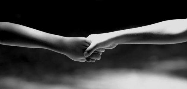 أجمل مقولات عن الصديق