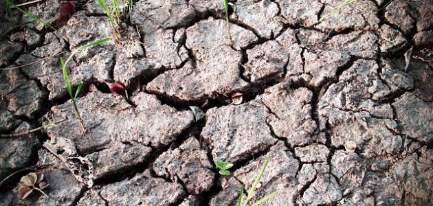 أحكام صلاة الاستسقاء أحكام صلاة الاستسقاء