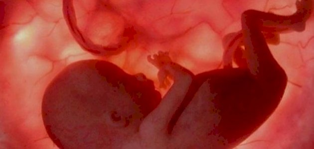 أسباب توقف نبض الجنين أسباب توقف نبض الجنين