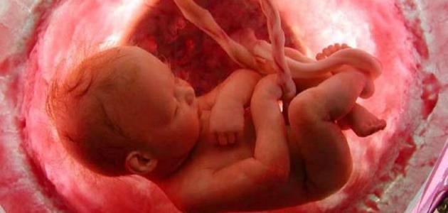 أسباب موت الجنين في الشهر الثاني