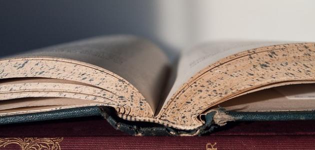 أشعار الحلاج في الحب