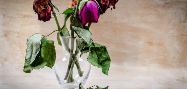 أشعار حزينة قصيرة أشعار حزينة قصيرة