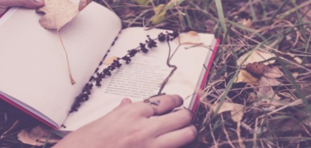 أشعار كثير عزة في الغزل العذري